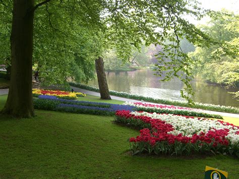 Keukenhof Gardens Netherlands Water Flowers Tulips Flowers Planting