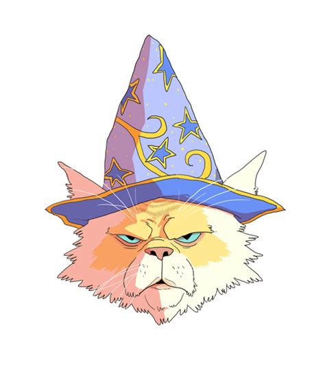 Wizard Cat By Repoghost On Deviantart