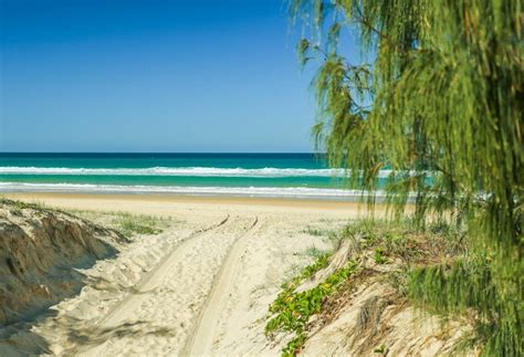 Fraser island is about 300 kilometres (186 miles) north of brisbane and 15 kilometres (9 miles) off virgin australia and qantaslink operate direct flights from sydney, melbourne and brisbane to the. Live the DREAM on FRASER ISLAND in AUSTRALIA! - Drop Bear ...