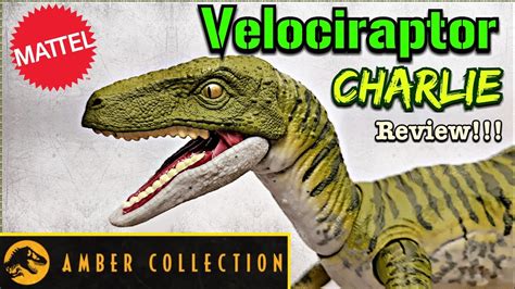 Mattel Amber Collection Velociraptor Charlie Review Youtube