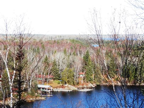 Bow Narrows Camp Blog On Red Lake Ontario Eagles Eye View Of The Camp
