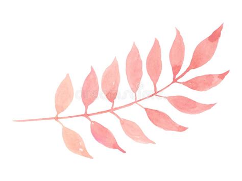 Isolated Pastel Pink Leaf On White Background Stock Vector