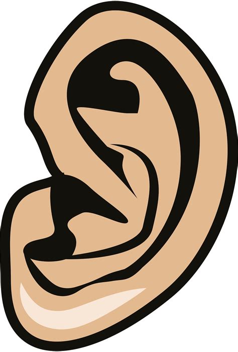 100900 Ear Illustrations Royalty Free Vector Graphics And Clip Clip