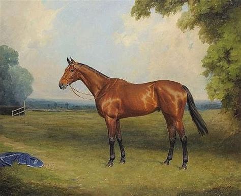Thomas Percy Earl Fl1900 1930 The Racehorse Golden Miller