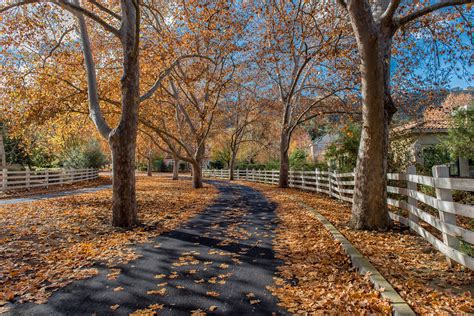 autumn, Trees, Fence, Pavement, Nature Wallpapers HD / Desktop and Mobile Backgrounds