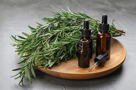 Herbal Apothecary Self Reliant Herbalism • Cedar Mountain Herb School