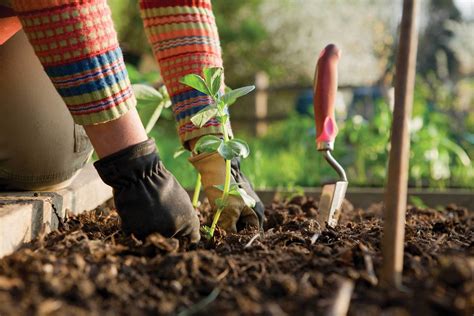 The Health Benefits Of Gardening He And She Fitness