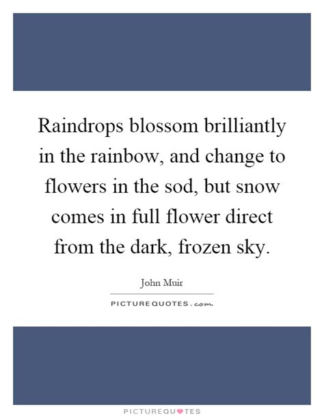 I always wonder about raindrops. Raindrops Quotes | Raindrops Sayings | Raindrops Picture Quotes