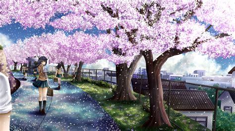 41 Anime Cherry Blossom Wallpaper On Wallpapersafari