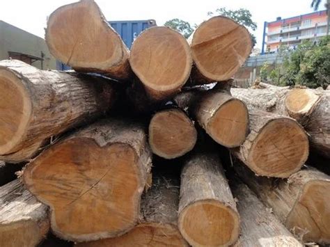 Hardwood Timber Round Logs Teak Wood Log Wholesaler From Chennai