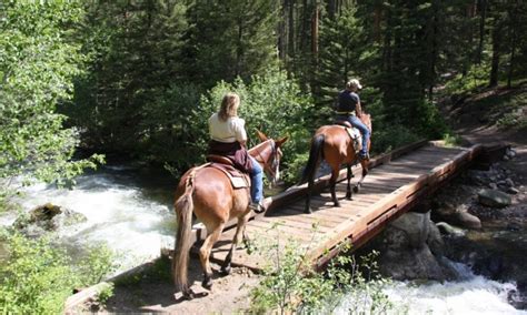 Bozeman Horseback Riding Horse Trail Rides Alltrips