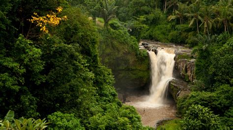 Download Wallpaper 1920x1080 Bali Indonesia Waterfall Forest Palm Trees Rock Full Hd 1080p