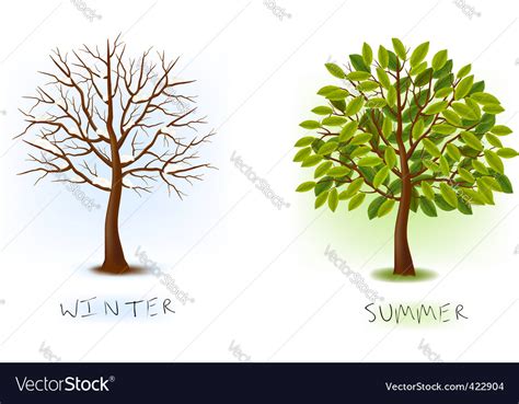 Winter And Summer Trees Royalty Free Vector Image