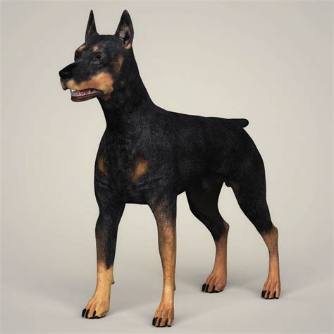 Artstation Realistic 3d Dog Collection Resources