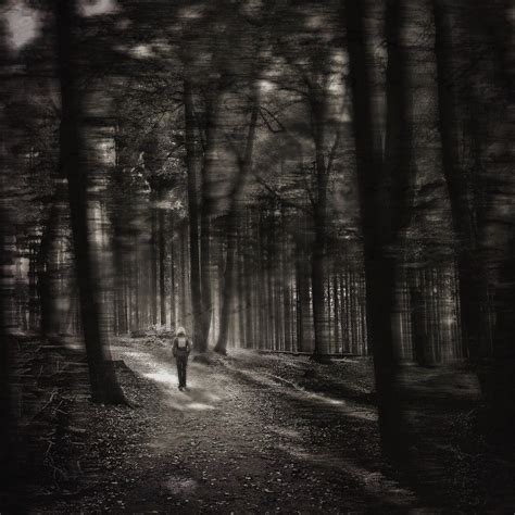 Woman At Forest Gloomy Mood Free Image Download