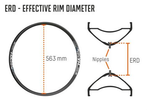 The Right Rim For Your Bike Bike Components