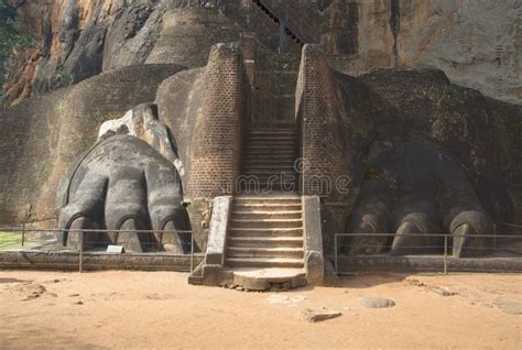 Lion S Paws At The Foot Of The Mountain Palace Of Sigiriya Sri Lanka
