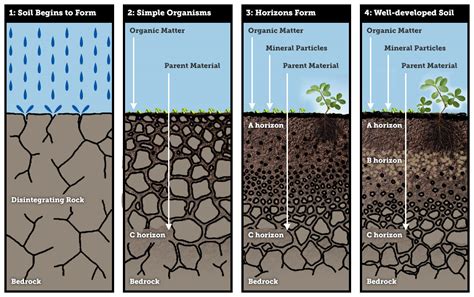 Weathering The Parent Material Climate And Soil Composition