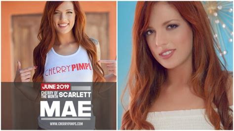 Scarlett Mae Is Cherry Pimps June Cherry Of The Month Xbiz Com