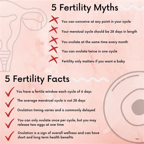 fertility myths vs fertility facts in 2020 fertility awareness cervical mucus method
