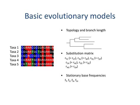 Phylogenetics Introduction Ppt Download