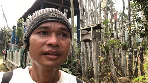 Kampung Dayak Pedalaman Borneo Desa Rantau Asem Kalimantan Tengah YouTube