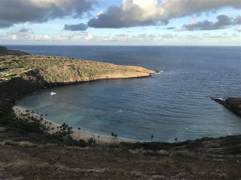 Oxybenzone Sunscreen Threatens Hanauma Bays Coral Reef Nccos Coastal