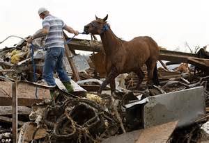 Tragic Sight Of Dead Horses Piled High As Farmers Return To Find Just