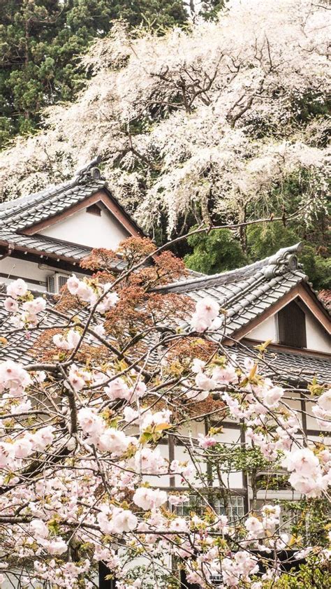 5 Things To Do In Sendai Japan Roaming Hills Sendai Japan Japan