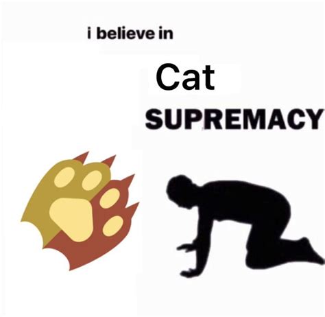 I Believe In Cat Supremacy In 2022 Superhero Logos Cats Memes