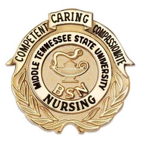 Gold Filled Bsn Nursing Pin