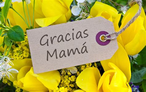Mother's day is not a public holiday. When is Mother's Day around the world? - Office Holidays Blog