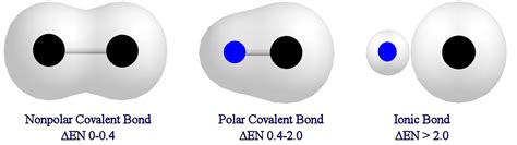 Polar bonds form when two bonded atoms share electrons unequally. Shapes of Molecules