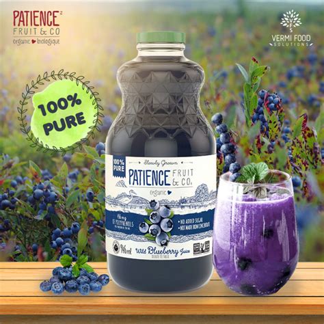 Patience Fruit And Co Organic Dried Fruit Pure Organic Wild Blueberry