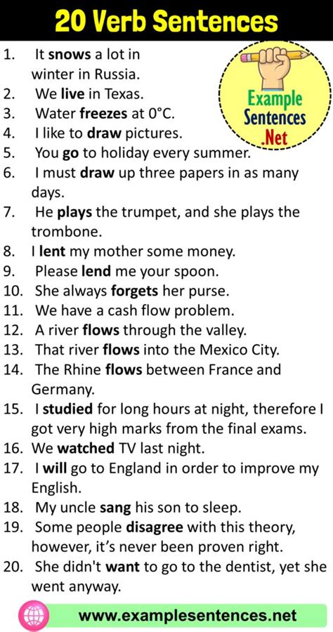 20 Verb Sentences Verb Examples In Sentences Example Sentences