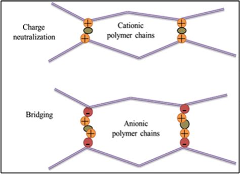 Charge Neutralization And Bridging Mechanisms Of Cationic Polymers And