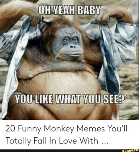 20 Funny Monkey Memes Youll Totally Fall In Love With Ifunny