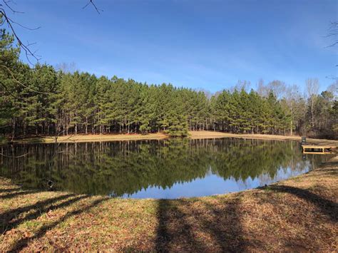 25 Acres With Home And Two Ponds