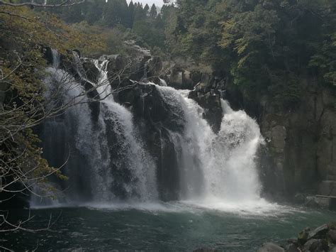 Waterfalls And Sakura Trees Experience Two Of Japans Top 100s In