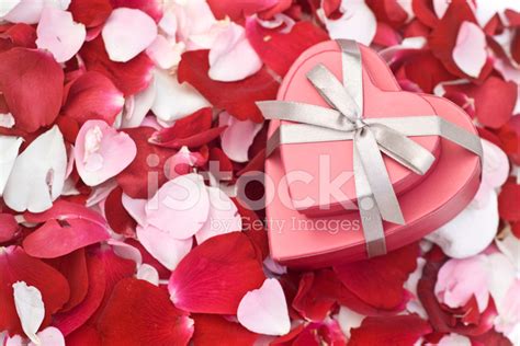 Heart Shaped Boxes On Rose Petals Stock Photos