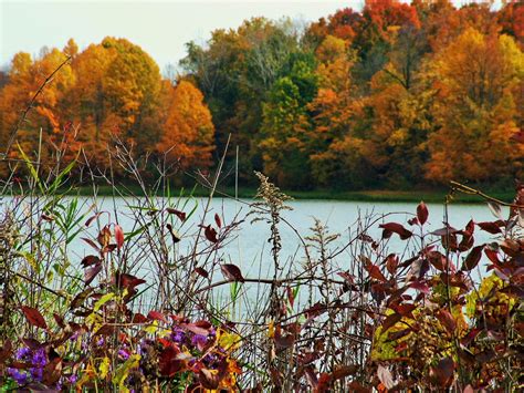 Maybe you would like to learn more about one of these? Potato Creek State Park, an Indiana State Park located ...