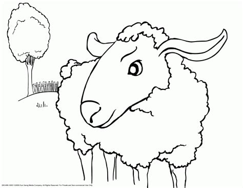Free printable coloring sheets for kids. Free Printable Sheep Coloring Pages For Kids