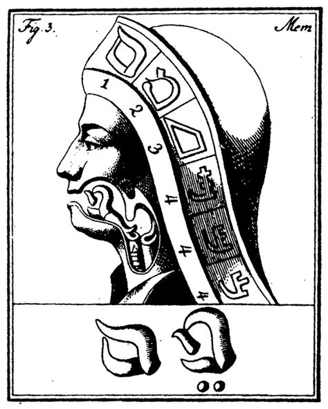 So ersparen sie sich das lästige nachzählen der position im alphabet. DIAGRAM :: Hebrew Letter M as a Tongue Position According ...