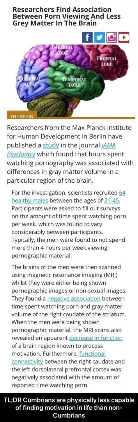 Researchers Find Association Between Porn Viewing And Less Grey Matter