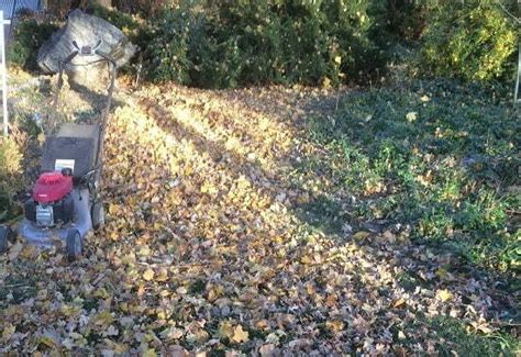 Primarily provide quality organic lawn care programs and mowing services with electric powered equipment charged by solar. Fall Lawn Care - The Bomb Lawn Landscaping Colorado Springs