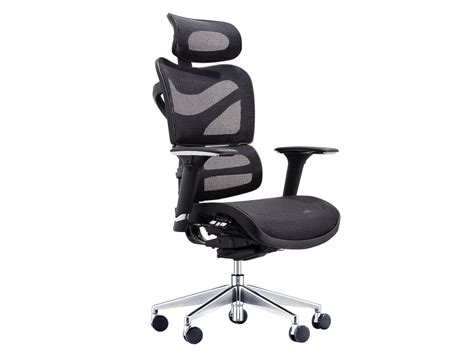 Enter the xuer ergonomic office chair, a superb mesh office chair with a large and flexible headrest that's a step up from most office chairs' in terms of comfort. Dorsum Executive Ergonomic Full Mesh Office Chair with ...