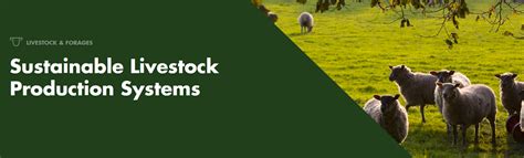 Sustainable Livestock Production Systems Institute For Food Nutrition