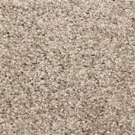 Stainmaster Essentials Durand Cobblestone Textured Carpet Sample