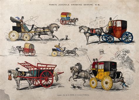Seven Different Horse Drawn Carts Coaches And Carriages Coloured