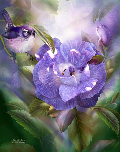 Lavender Rose Mixed Media By Carol Cavalaris Fine Art America